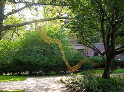 sculpture � brooklyn de Jenny Lynn McNutt  